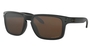 Oakley Holbrook XL Prizm Polar